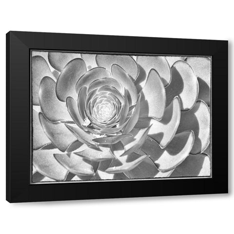 One After Another II Black Modern Wood Framed Art Print by Hartson-Weddle, Ryan
