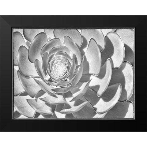 One After Another II Black Modern Wood Framed Art Print by Hartson-Weddle, Ryan