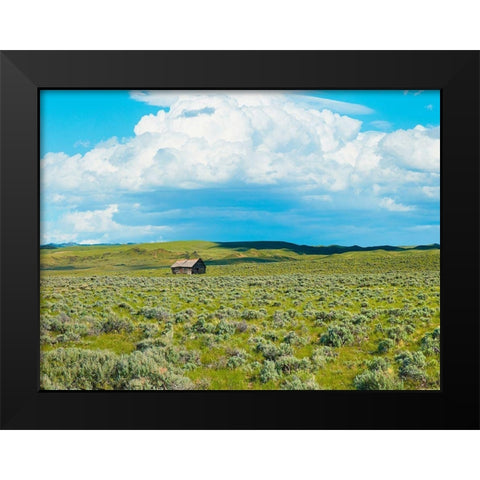 Barn Scene I Black Modern Wood Framed Art Print by McLoughlin, James