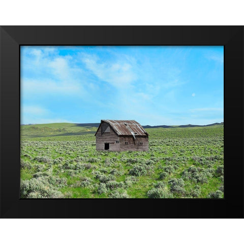 Barn Scene III Black Modern Wood Framed Art Print by McLoughlin, James