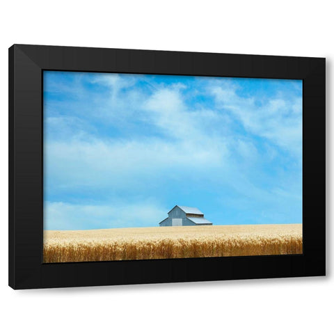 Barn Scene IX Black Modern Wood Framed Art Print by McLoughlin, James