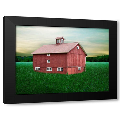 Barn Scene XII Black Modern Wood Framed Art Print by McLoughlin, James