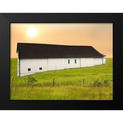 Barn Scene XIV Black Modern Wood Framed Art Print by McLoughlin, James