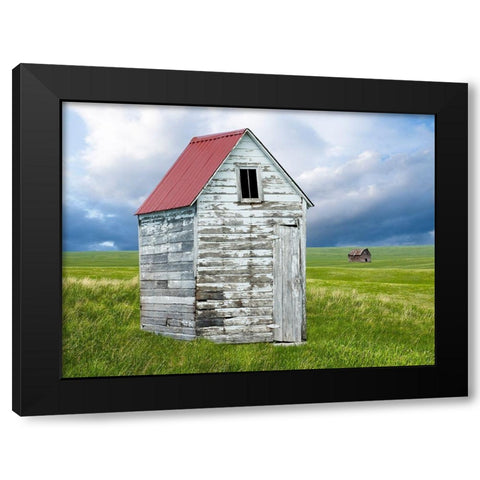 Barn Scene XVI Black Modern Wood Framed Art Print by McLoughlin, James