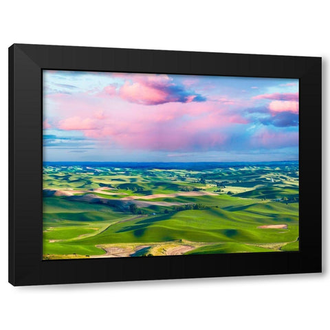 Farmscape Photo I Black Modern Wood Framed Art Print by McLoughlin, James