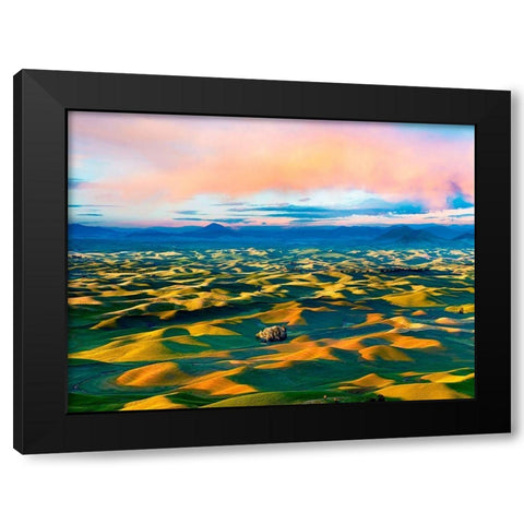 Farmscape Photo II Black Modern Wood Framed Art Print with Double Matting by McLoughlin, James