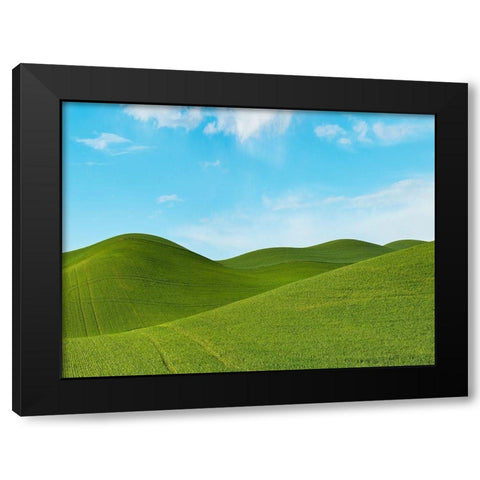 Farmscape Photo III Black Modern Wood Framed Art Print with Double Matting by McLoughlin, James
