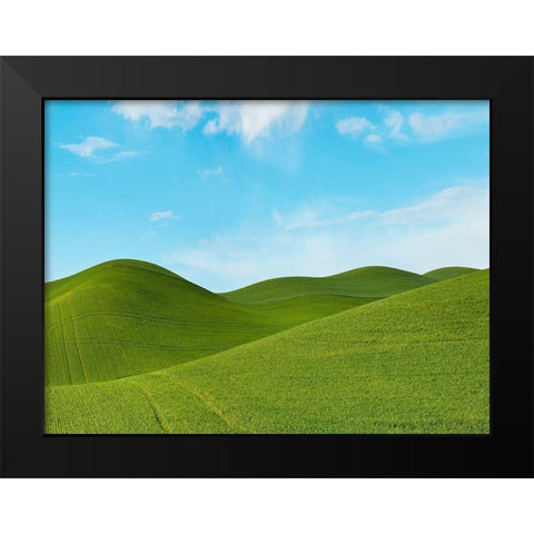 Farmscape Photo III Black Modern Wood Framed Art Print by McLoughlin, James