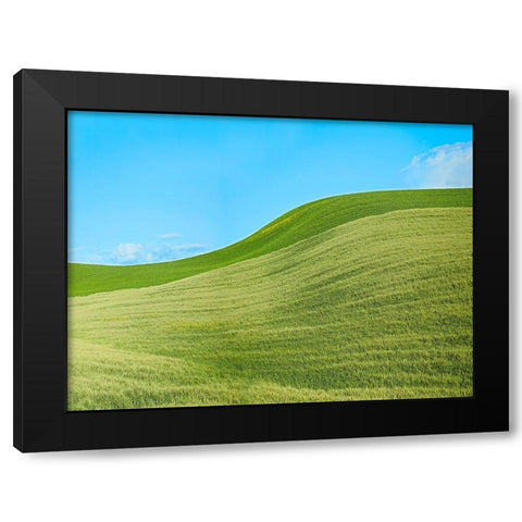 Farmscape Photo IV Black Modern Wood Framed Art Print by McLoughlin, James