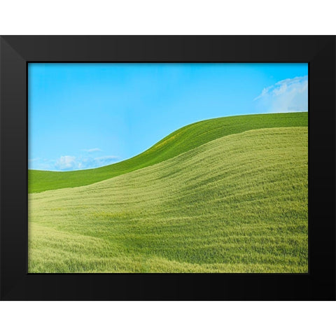 Farmscape Photo IV Black Modern Wood Framed Art Print by McLoughlin, James