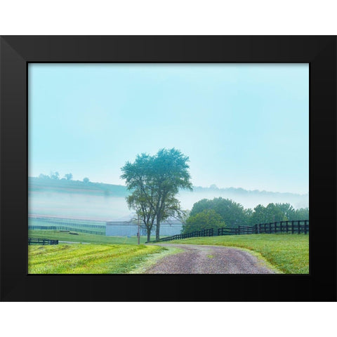 Farmscape Photo VII Black Modern Wood Framed Art Print by McLoughlin, James