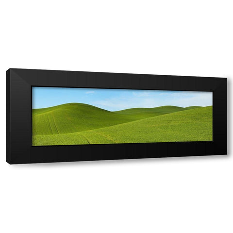 Farmscape Panorama VII Black Modern Wood Framed Art Print by McLoughlin, James