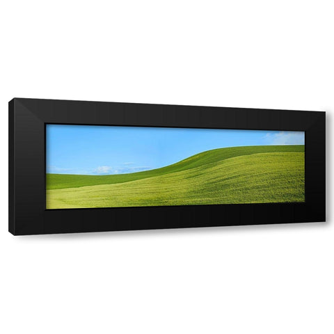 Farmscape Panorama VIII Black Modern Wood Framed Art Print with Double Matting by McLoughlin, James