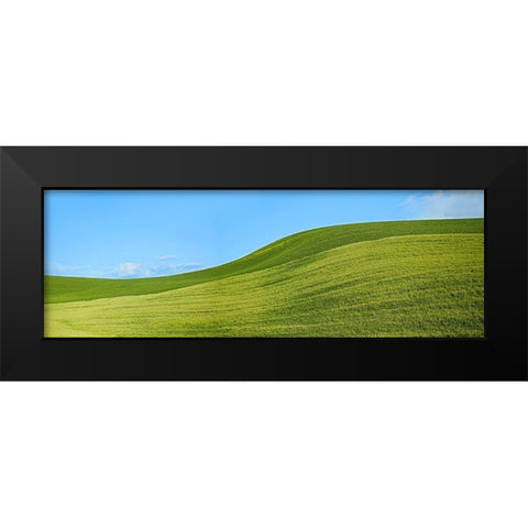 Farmscape Panorama VIII Black Modern Wood Framed Art Print by McLoughlin, James