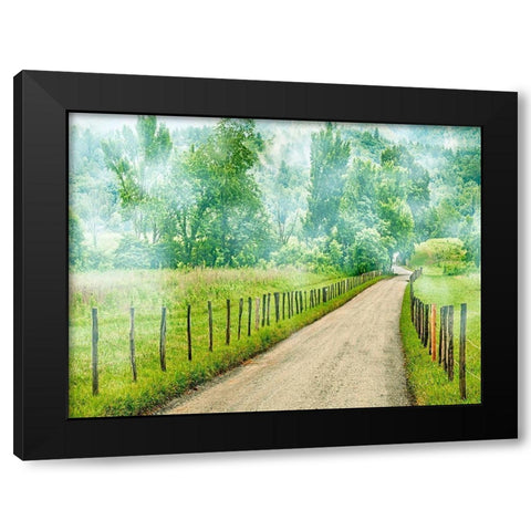 Country Road Photo II Black Modern Wood Framed Art Print by McLoughlin, James