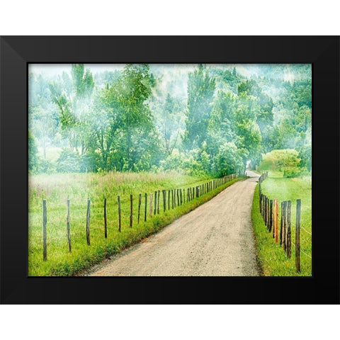 Country Road Photo II Black Modern Wood Framed Art Print by McLoughlin, James