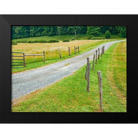 Country Road Photo III Black Modern Wood Framed Art Print by McLoughlin, James