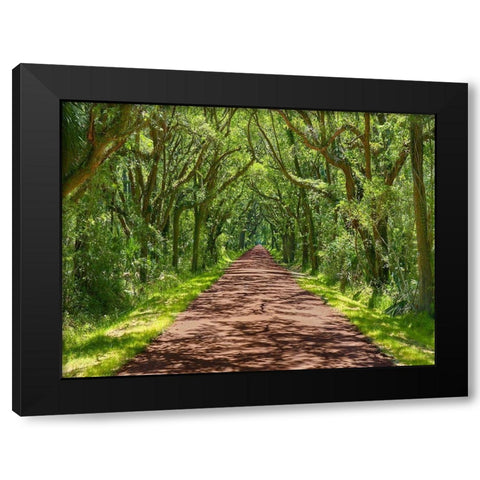 Country Road Photo IV Black Modern Wood Framed Art Print by McLoughlin, James