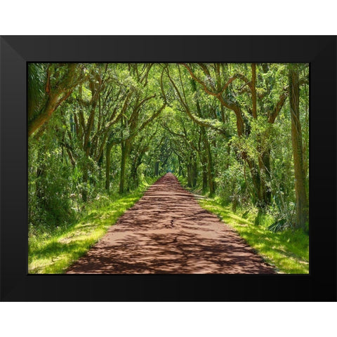 Country Road Photo IV Black Modern Wood Framed Art Print by McLoughlin, James