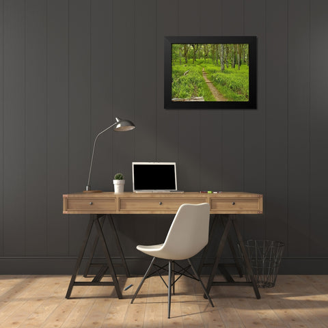 Country Road Photo V Black Modern Wood Framed Art Print by McLoughlin, James