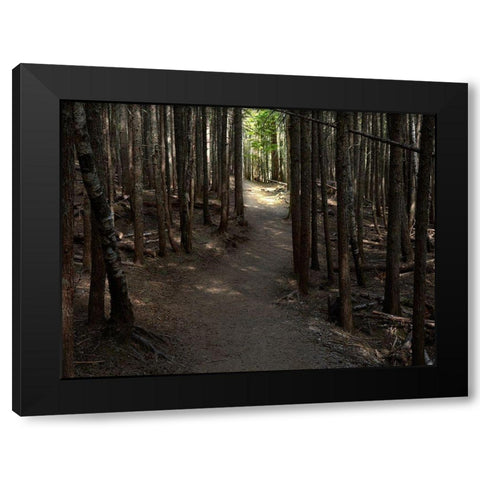 Country Road Photo VI Black Modern Wood Framed Art Print with Double Matting by McLoughlin, James