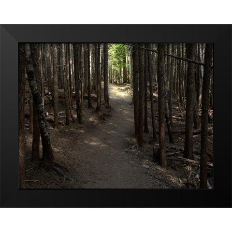 Country Road Photo VI Black Modern Wood Framed Art Print by McLoughlin, James