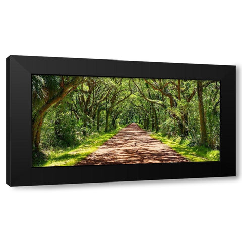 Country Road Photo VII Black Modern Wood Framed Art Print with Double Matting by McLoughlin, James
