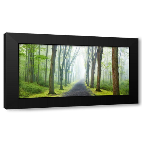 Country Road Photo VIII Black Modern Wood Framed Art Print with Double Matting by McLoughlin, James