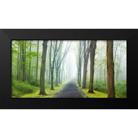 Country Road Photo VIII Black Modern Wood Framed Art Print by McLoughlin, James