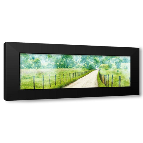 Country Road Panorama II Black Modern Wood Framed Art Print by McLoughlin, James