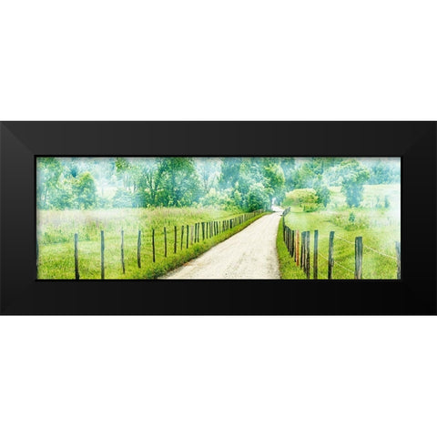Country Road Panorama II Black Modern Wood Framed Art Print by McLoughlin, James