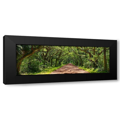 Country Road Panorama IV Black Modern Wood Framed Art Print by McLoughlin, James