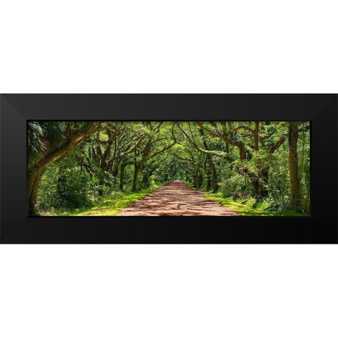 Country Road Panorama IV Black Modern Wood Framed Art Print by McLoughlin, James