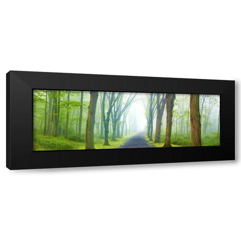 Country Road Panorama V Black Modern Wood Framed Art Print with Double Matting by McLoughlin, James