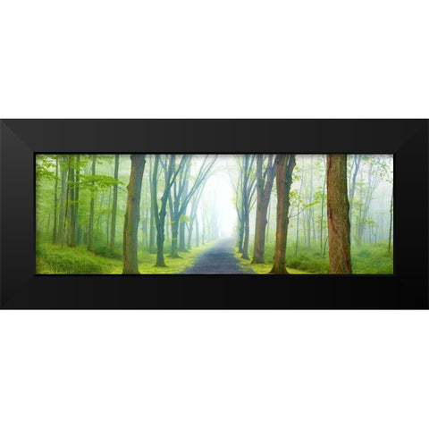 Country Road Panorama V Black Modern Wood Framed Art Print by McLoughlin, James