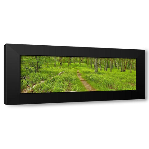 Country Road Panorama VI Black Modern Wood Framed Art Print with Double Matting by McLoughlin, James