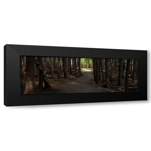 Country Road Panorama VII Black Modern Wood Framed Art Print with Double Matting by McLoughlin, James