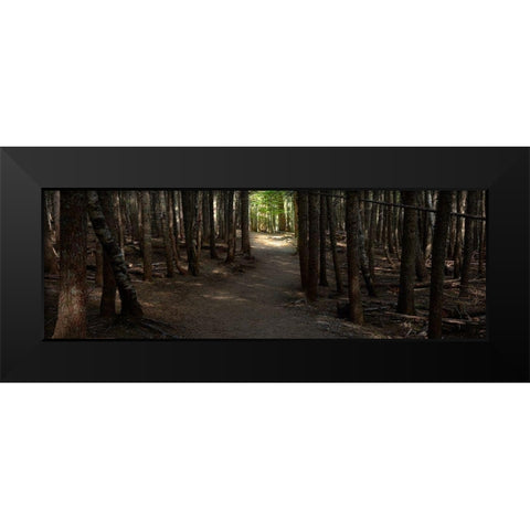 Country Road Panorama VII Black Modern Wood Framed Art Print by McLoughlin, James