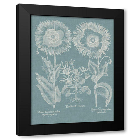 Besler Poppies I Black Modern Wood Framed Art Print by Besler, Basilius