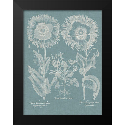 Besler Poppies I Black Modern Wood Framed Art Print by Besler, Basilius