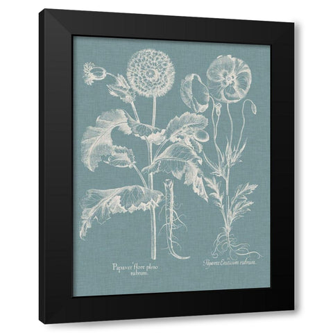 Besler Poppies II Black Modern Wood Framed Art Print with Double Matting by Besler, Basilius