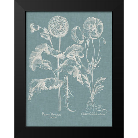 Besler Poppies II Black Modern Wood Framed Art Print by Besler, Basilius