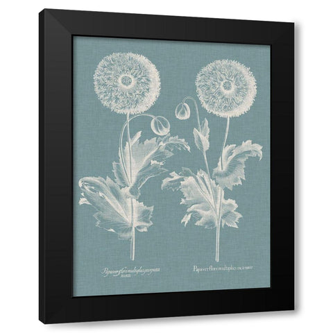 Besler Poppies III Black Modern Wood Framed Art Print by Besler, Basilius
