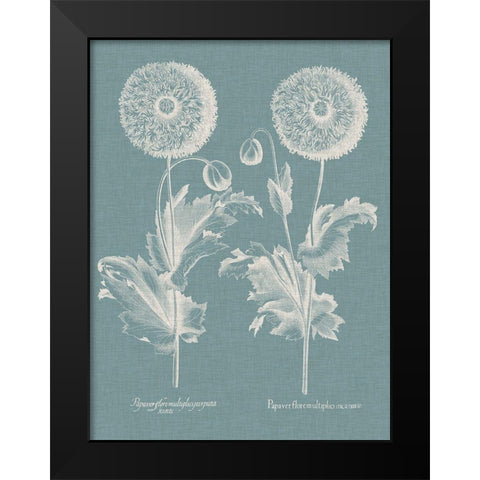Besler Poppies III Black Modern Wood Framed Art Print by Besler, Basilius