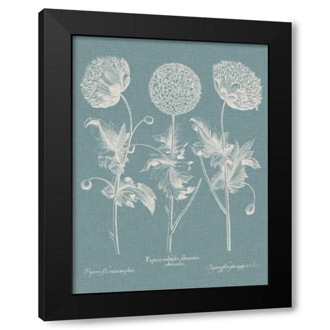 Besler Poppies IV Black Modern Wood Framed Art Print with Double Matting by Besler, Basilius