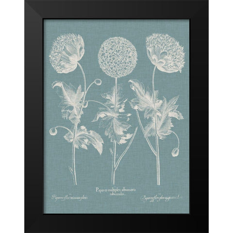 Besler Poppies IV Black Modern Wood Framed Art Print by Besler, Basilius