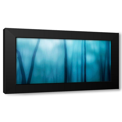 Harriman Woods I Black Modern Wood Framed Art Print with Double Matting by McLoughlin, James