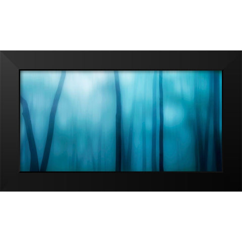 Harriman Woods I Black Modern Wood Framed Art Print by McLoughlin, James