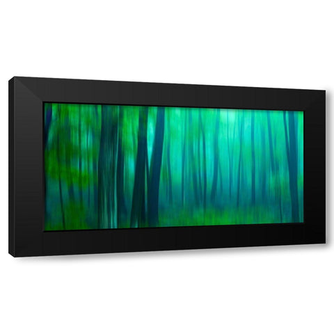 Harriman Woods III Black Modern Wood Framed Art Print with Double Matting by McLoughlin, James