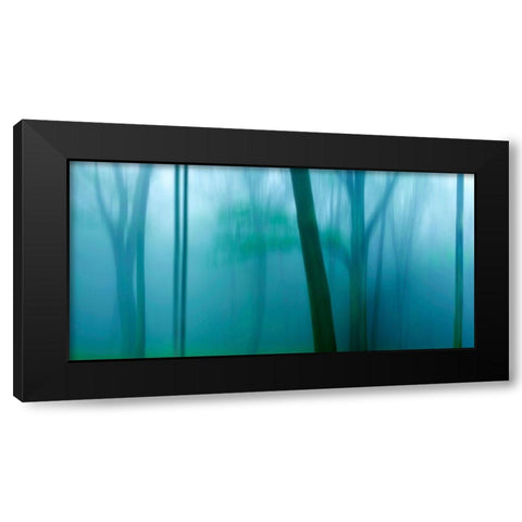 Harriman Woods IV Black Modern Wood Framed Art Print by McLoughlin, James